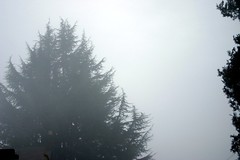 fog and smoke