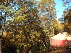 Fall yurt