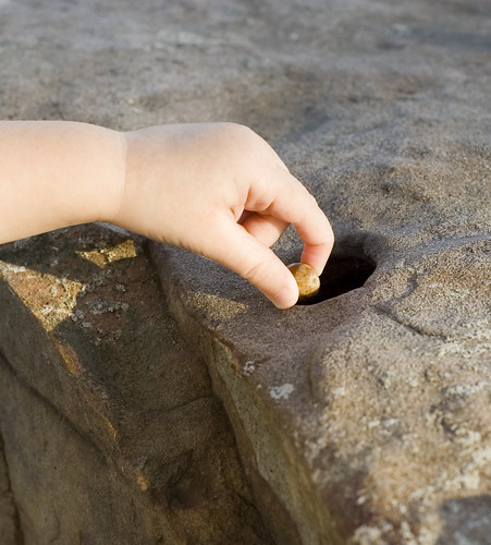Putting Acorns in a Hole in a Rock