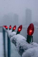Lights in the Snow