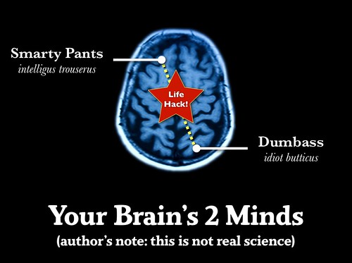 Your Brain's 2 Minds