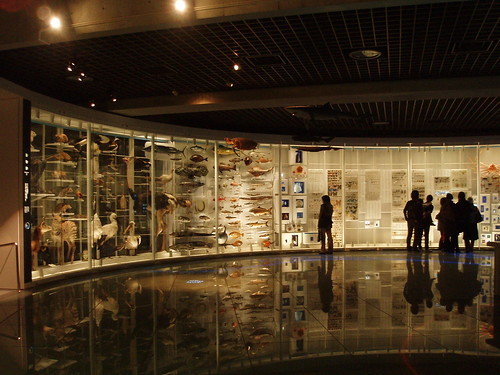 国立科学博物館20061129 012