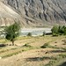 Cultivation besides the Chitral river
