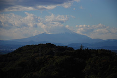 天園から見た富士山