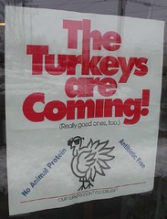 Thanksgiving advertisement