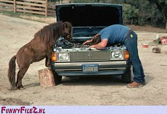 Redneck mechanic