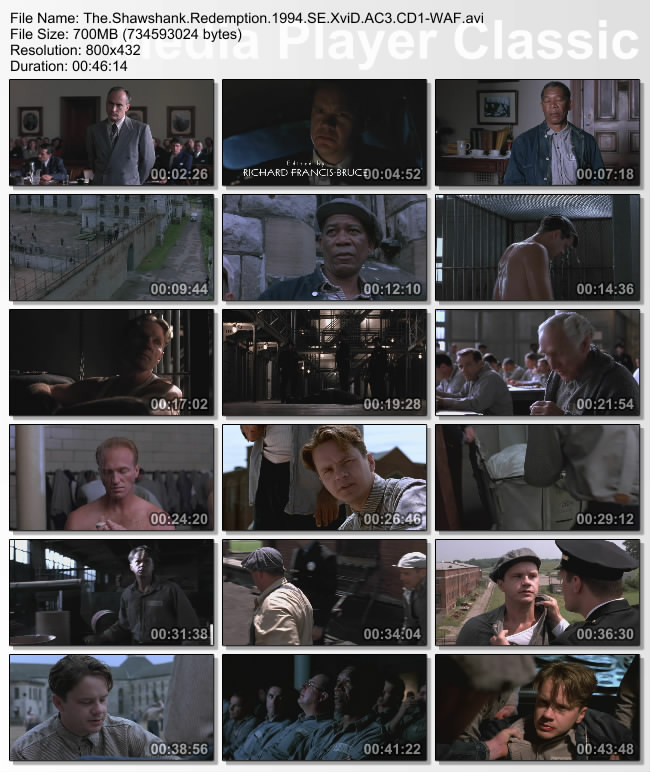 The.Shawshank.Redemption.1994.SE.XviD.AC3.CD1-WAF