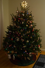 Christmas Tree_1.jpg