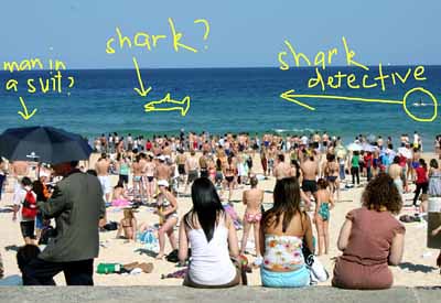 Anatomy of a Shark Attack