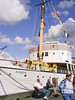 MissBiz - Acadia Tallship