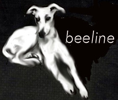 Beeline Bohemian