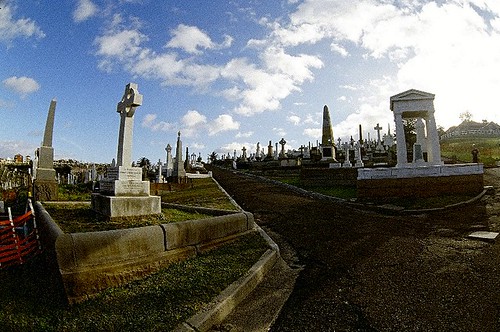Foto: Graveyard in Sydney