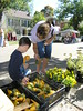 Picking out gourds at 4th Street Fair