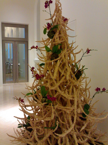 A different kind of Xmas tree