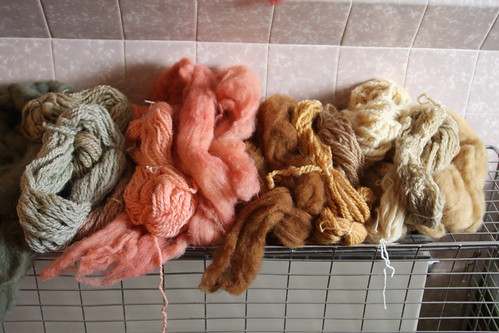 Natural Dyeing