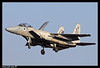 F-15D Eagle 'BAZ'  Israel Air Force