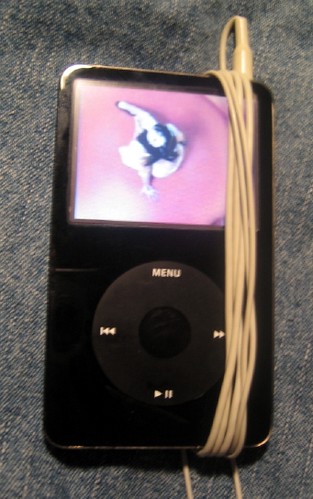 iPod & Billie