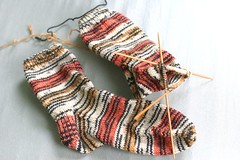 Last pair of socktoberfest socks