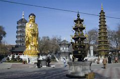 Buddha and the pagodas