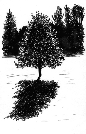 backlittree