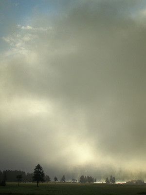 niebla