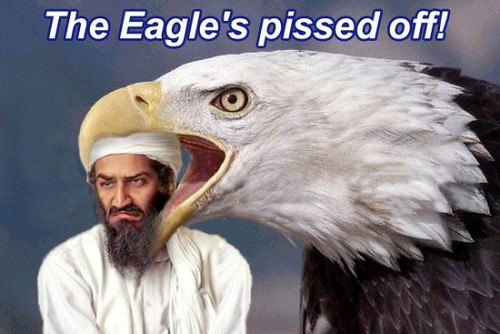 eagle po eagle pissed off