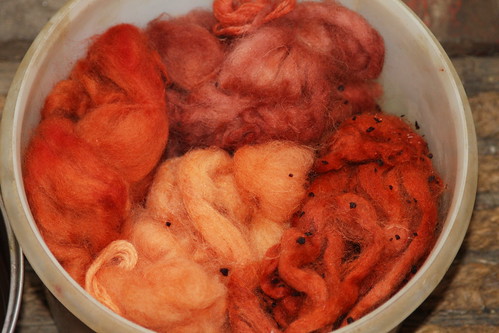 Natural Dyeing Days
