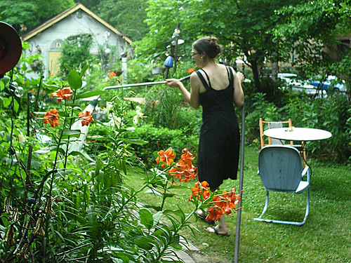 Jane watering the garden while Dennis is away...
