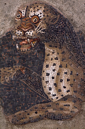 Cats & Kittens – Ancient Roman Mosaics – Ephesus, Istanbul, Madaba