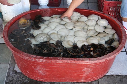 tub of clams