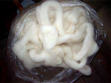 The first processed wool
