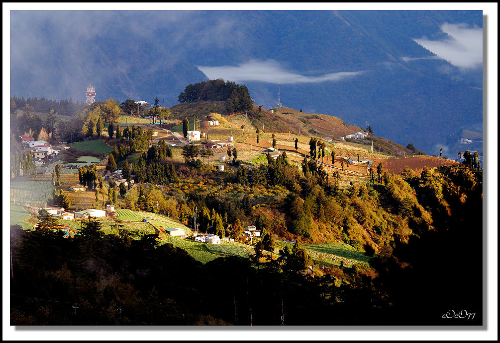 DSC_0012-1118-1