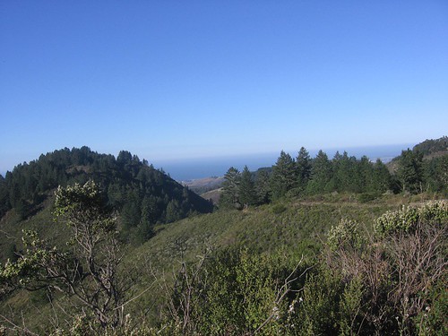 North Ridge Trail, Purisima Creek Redwoods Open Space Preserve