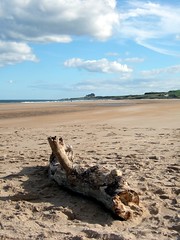 Castle and driftwood