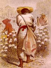 Cotton Worker