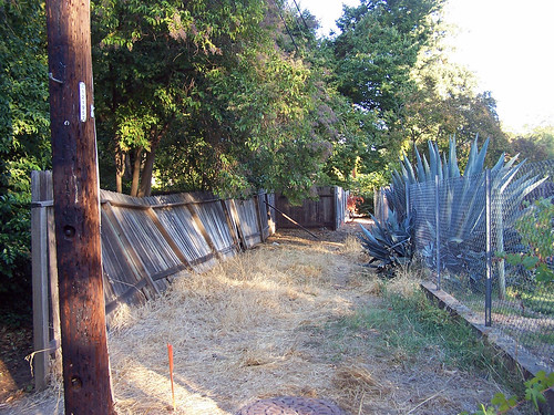 back_fence-old-rear.jpg