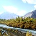 Autumn colours on the way to the Shandur Pass