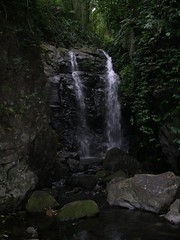 Waterfall in the lemington national park