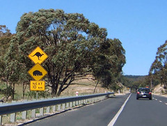 Kangaroo and Wombat Crossing