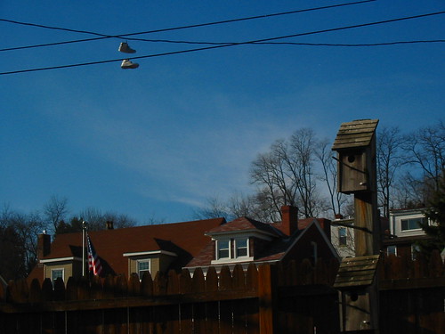 Shoes and Birdhouse