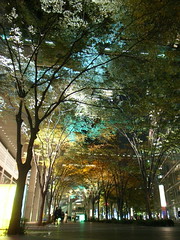 Autumn Tokyo - 1