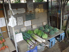 vegetable stand by field