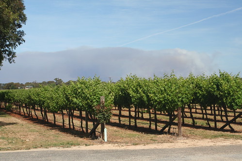 Victorian bushfires seen from Penola
