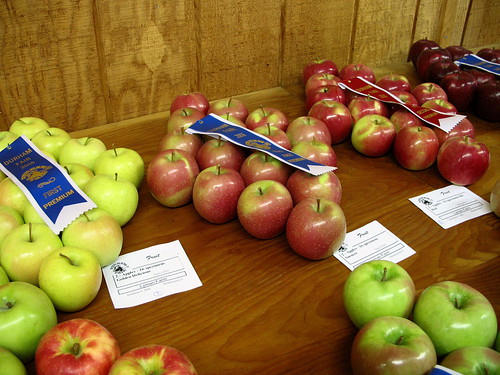 prize-winning apples