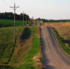 Gravel Road, South of Pierce, Nebraska