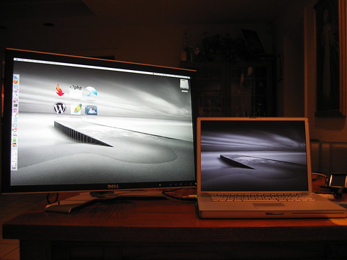Dell 2407 WFP 24 inch monitor