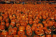 Even more pumpkins