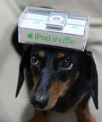 cocoa #35 new iPod shuffle