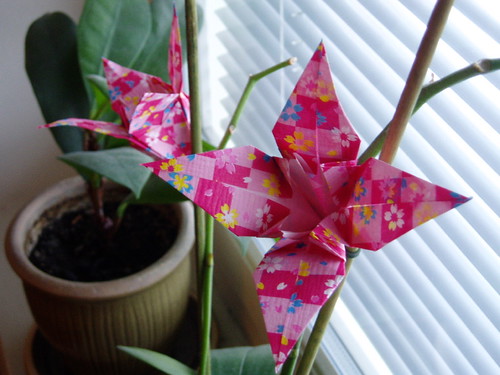 origami lilies