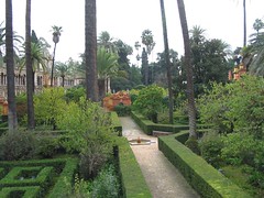 5451f Alcazar garden
